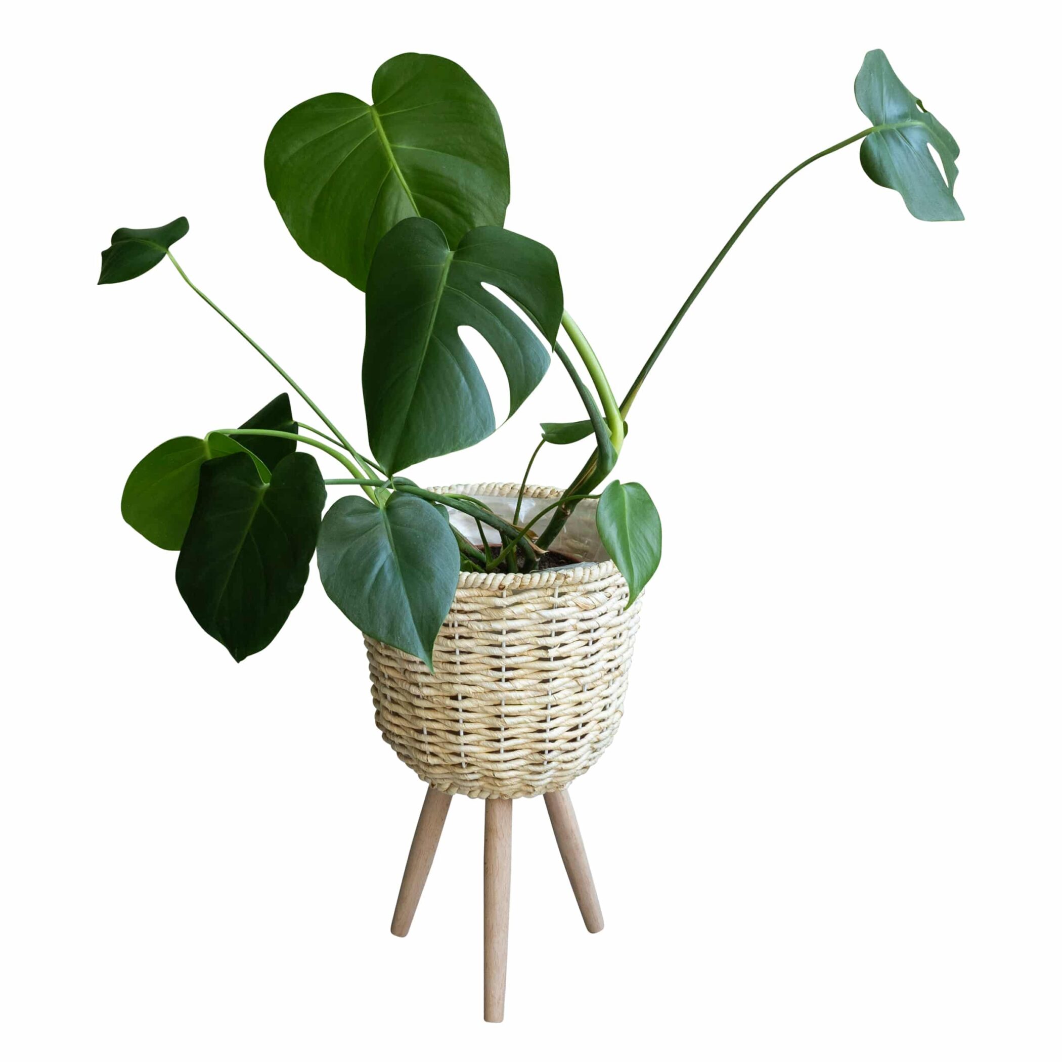 QUVIO Plantenmand op driepoot - 26 x 41,5 cm (dxh)
