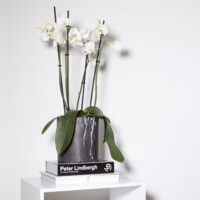 Plantenpot met een diameter van 17 cm