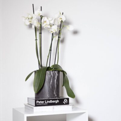 Plantenpot met een diameter van 17 cm