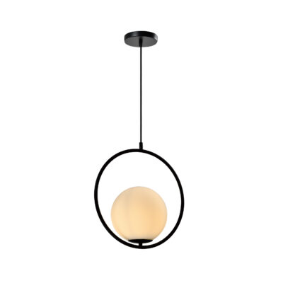 Moderne hanglamp met metalen frame in het zwart en bal