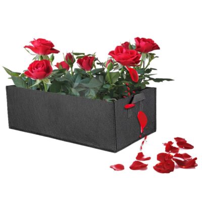 Grote bak voor planten of bloemen