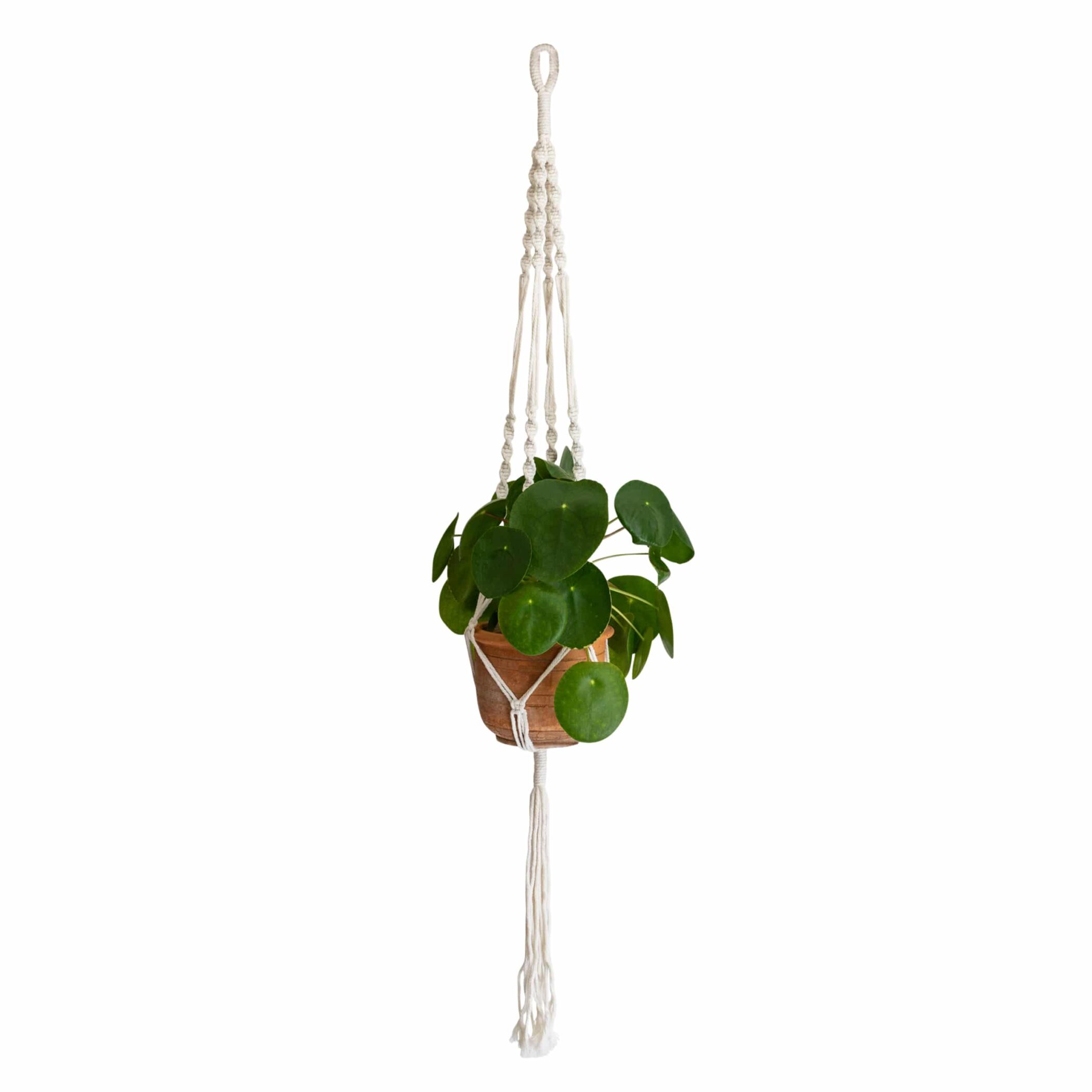 QUVIO Plantenhanger voor bloempot – Gevlochten touw
