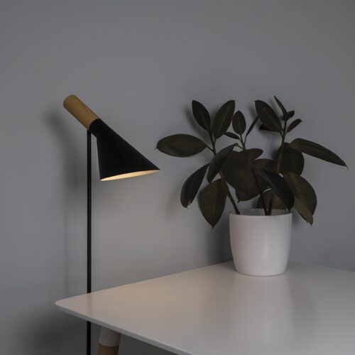 Zwart met houten vloerlampen