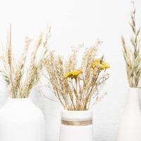 Witte vazen