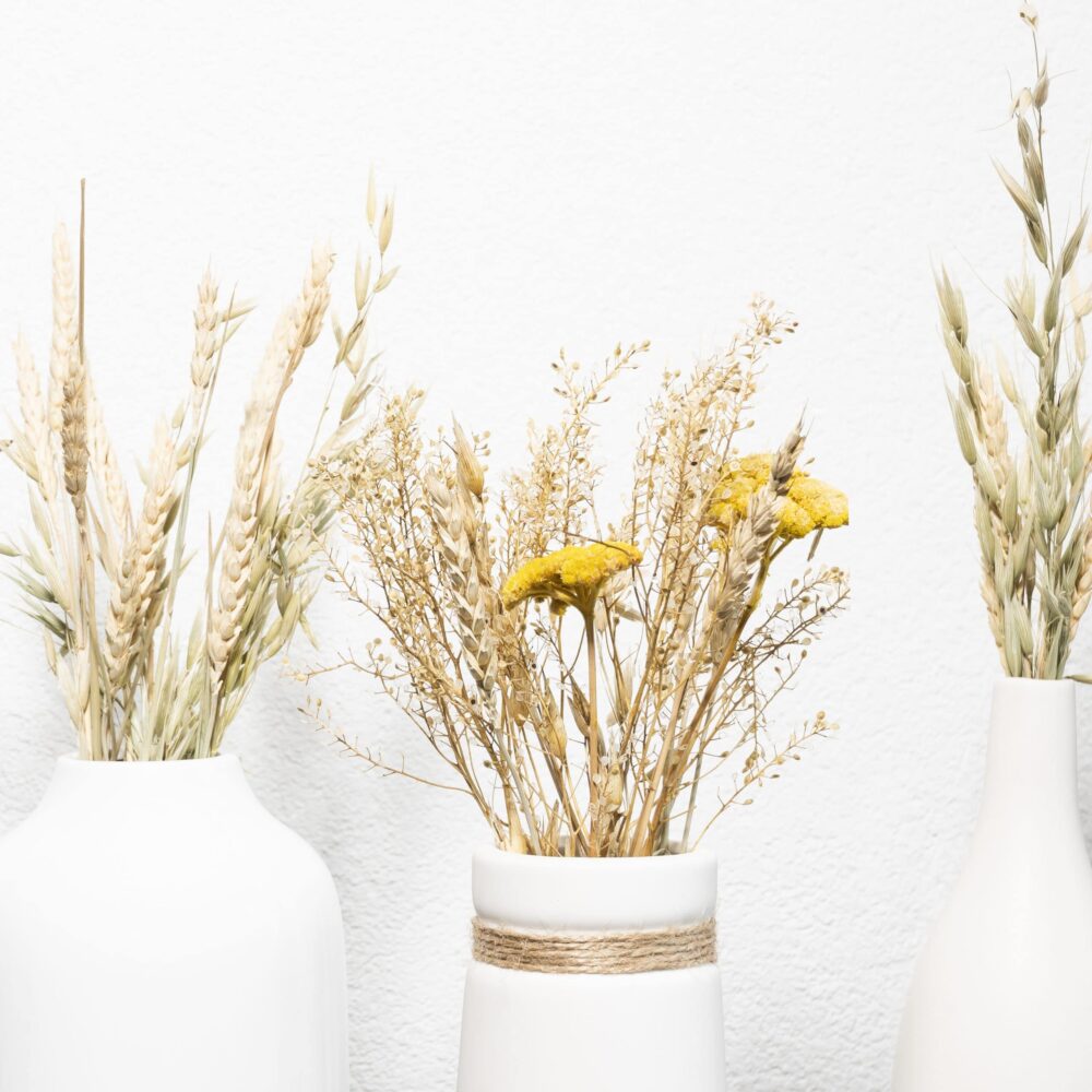 Droge planten decoratief