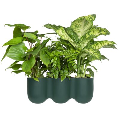 Donkergroene bloempotten trio