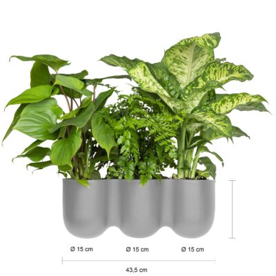 Maten van de ophangpotten in het grijs voor 3 planten