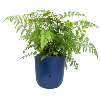 Ophangen van Bloempot voor aan de wand donkerblauw