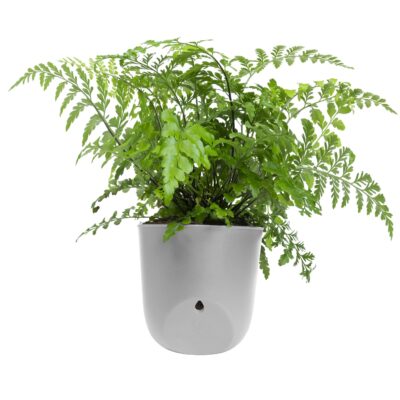 ophangen grijze plantenpotten voor buiten