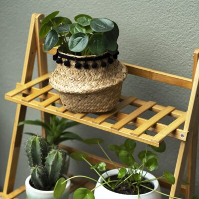 3 etages plantentrap voor planten op te zetten