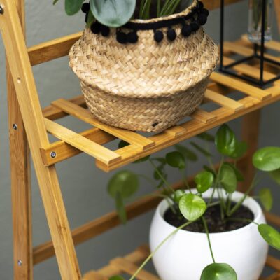 Plantentrap voor planten