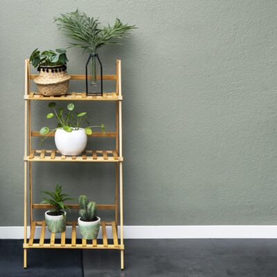 Leuke plantentrapje voor planten in de woonkamer